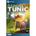 Tunic Steam